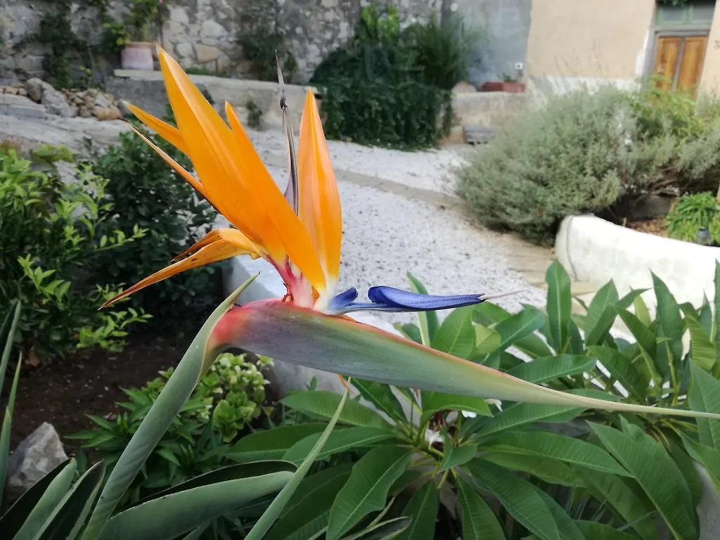 فيلا Casa Vacanze Sidda كوستوناتشي بيت للعطل